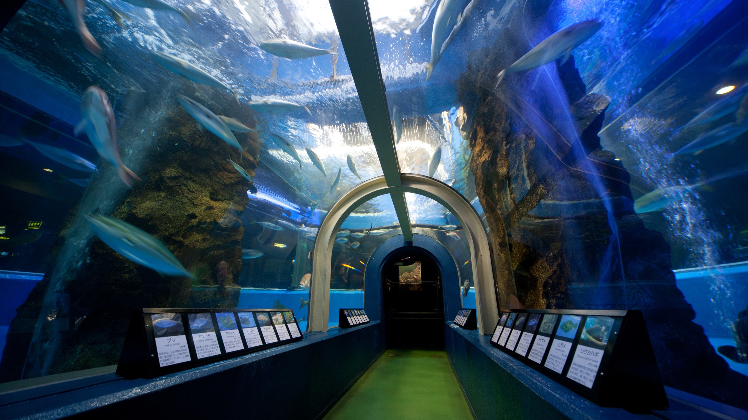 魚津水族館