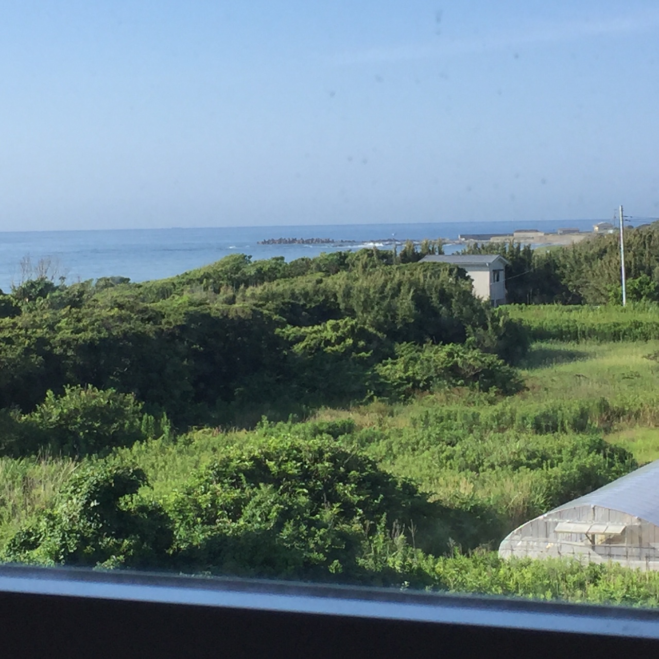 ｓｏｕｔｈ ｂｉｒｄ ｉｎｎ サウスバードイン Ocean View 楽天トラベル