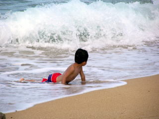 HAWAII-KENTA