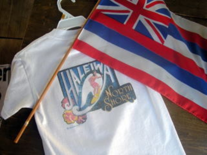 HAWAII FLAG & TEE