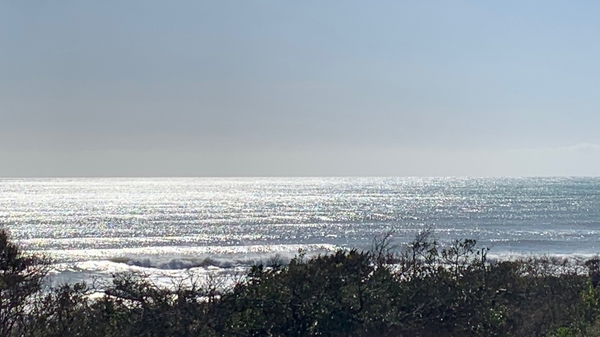 south bird inn サウスバードイン 宿泊予約 楽天トラベル south bird inn サウスバードイン 宿泊予約 楽天トラベル