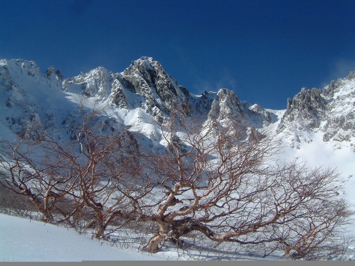 【ファミリー】【カップル】【1泊2食付】駒ヶ岳山麓・高原に佇む丸太小屋ログハウスで至福のひととき