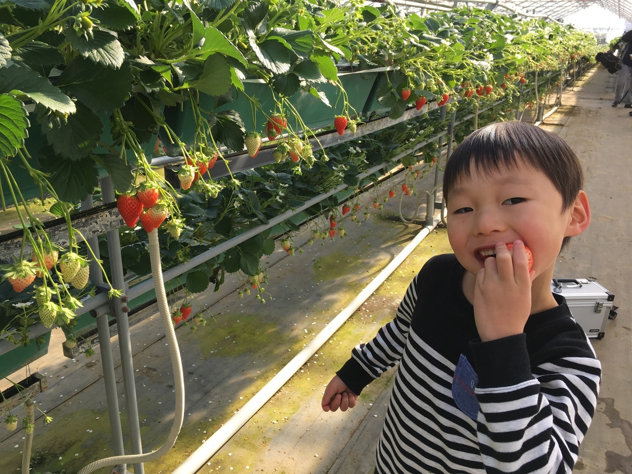 【春SALE】中央アルプスの麓、ログペンションで山小屋体験（1泊2食付き）