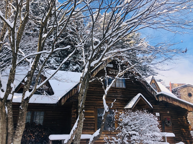 【ファミリー】【カップル】【1泊2食付】駒ヶ岳山麓・高原に佇む丸太小屋ログハウスで至福のひととき