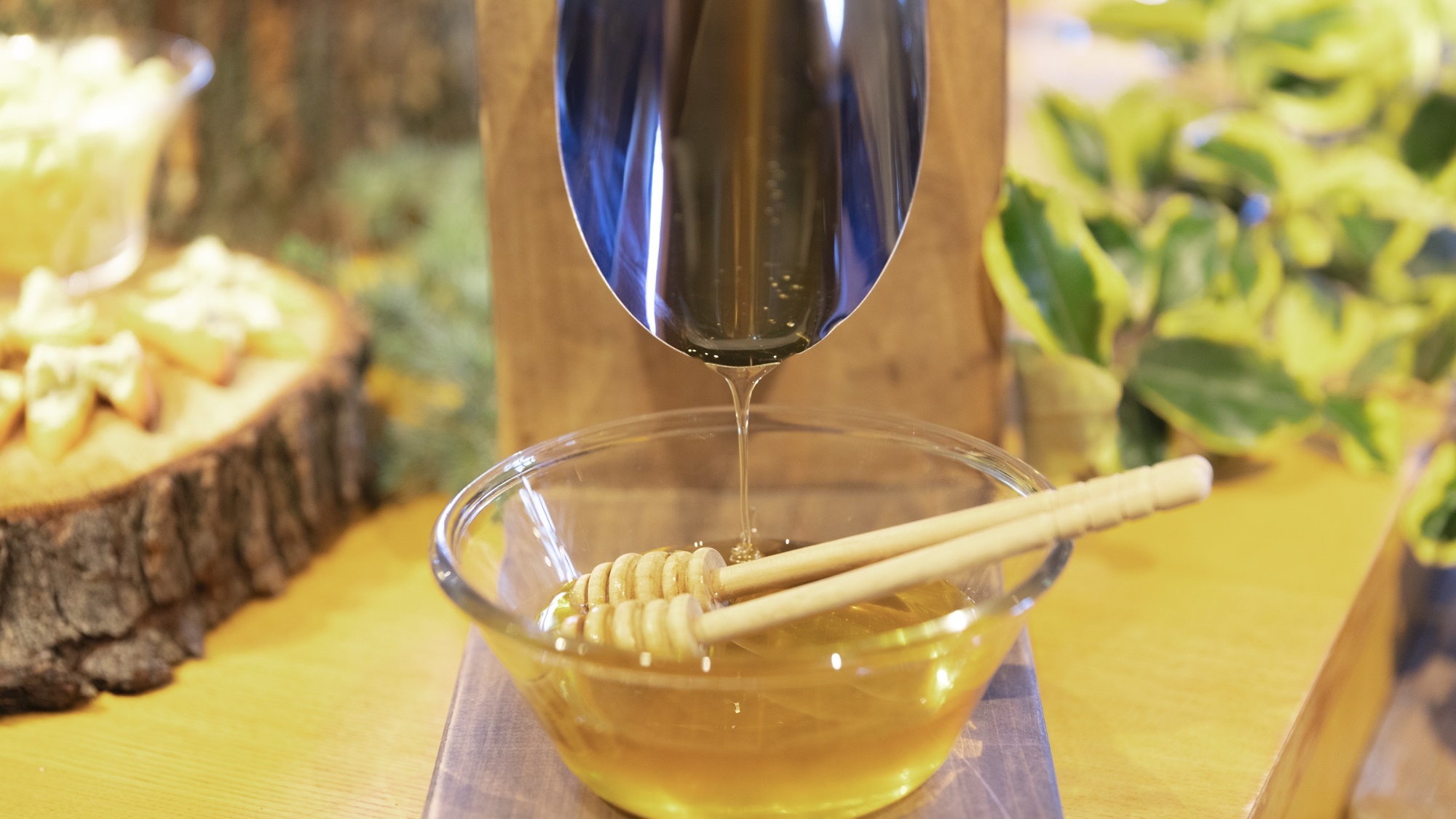 【春SALE】自然を身近に感じる、穏やかな朝のひととき＜朝食付き＞