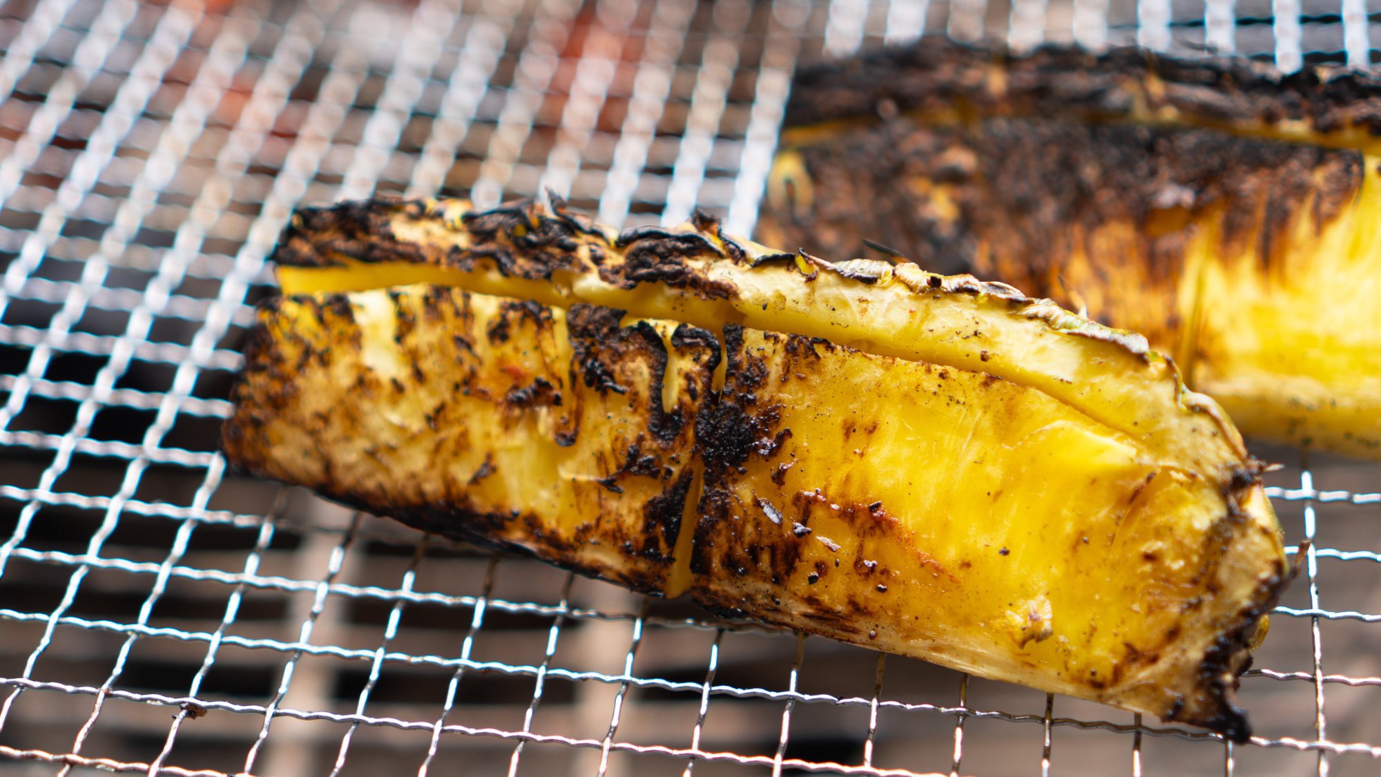 【夏BBQ】TODAY is TACODAY！タコスパーティーでHOTに「RicoRicoBBQ」