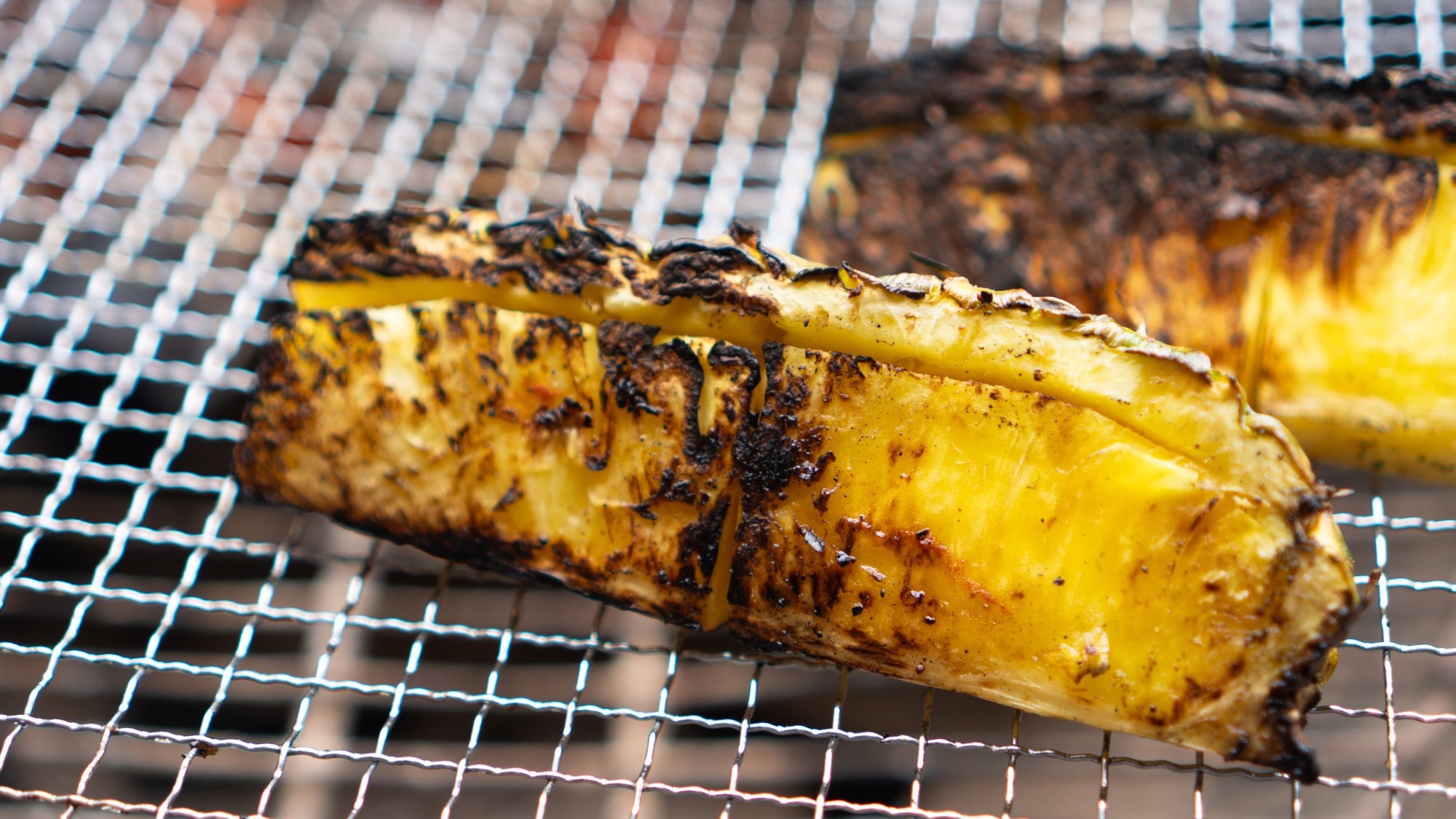 【夏BBQ】TODAY is TACODAY！タコスパーティーでHOTに「RicoRicoBBQ」