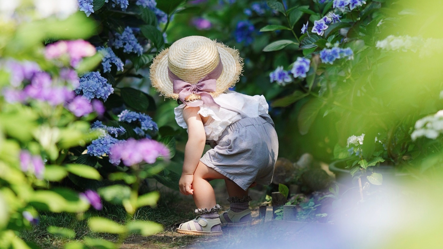 【平日限定あじさいフェア】初夏のあじさい散策！選べるメイン5種＆ハーフビュッフェランチ＜朝食昼食付＞