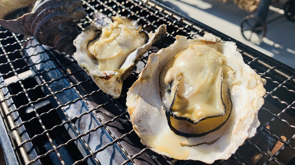 【楽天スーパーSALE】5％OFF！ BBQフィールドで焼き牡蠣食べ放題付の『かき道楽』コース