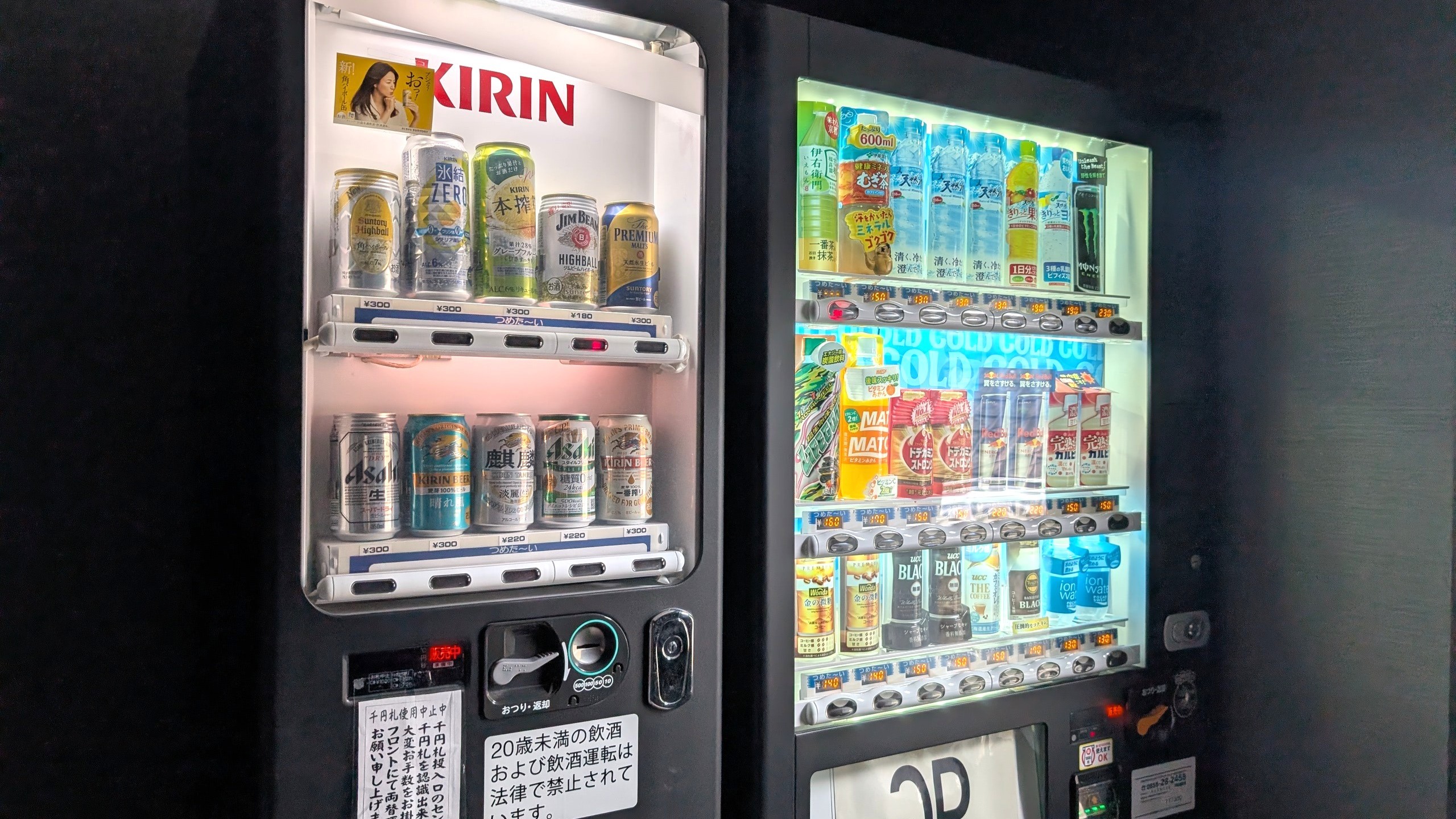 グリーンリッチホテル浜田駅前 人工温泉・二股湯の華 - 写真 92