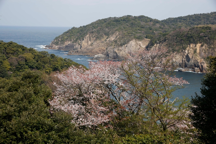 【浜田城跡】　写真提供：公益社団法人島根県観光連盟