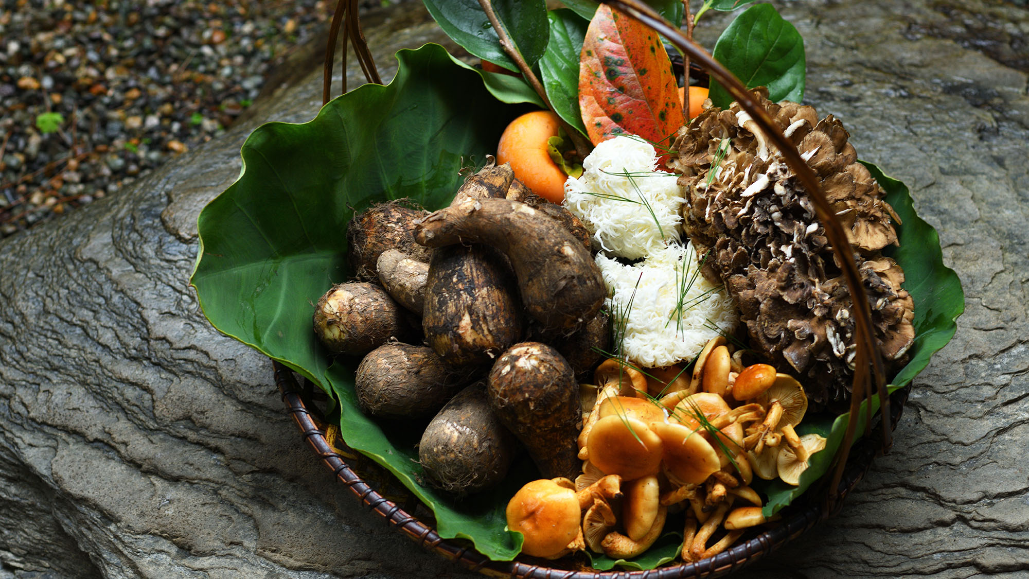 【お料理イメージ-秋の深まり】秋の山の幸の中でも、ひときわ気品を纏う&ldquo;きのこ類&rdquo;がお目見え。