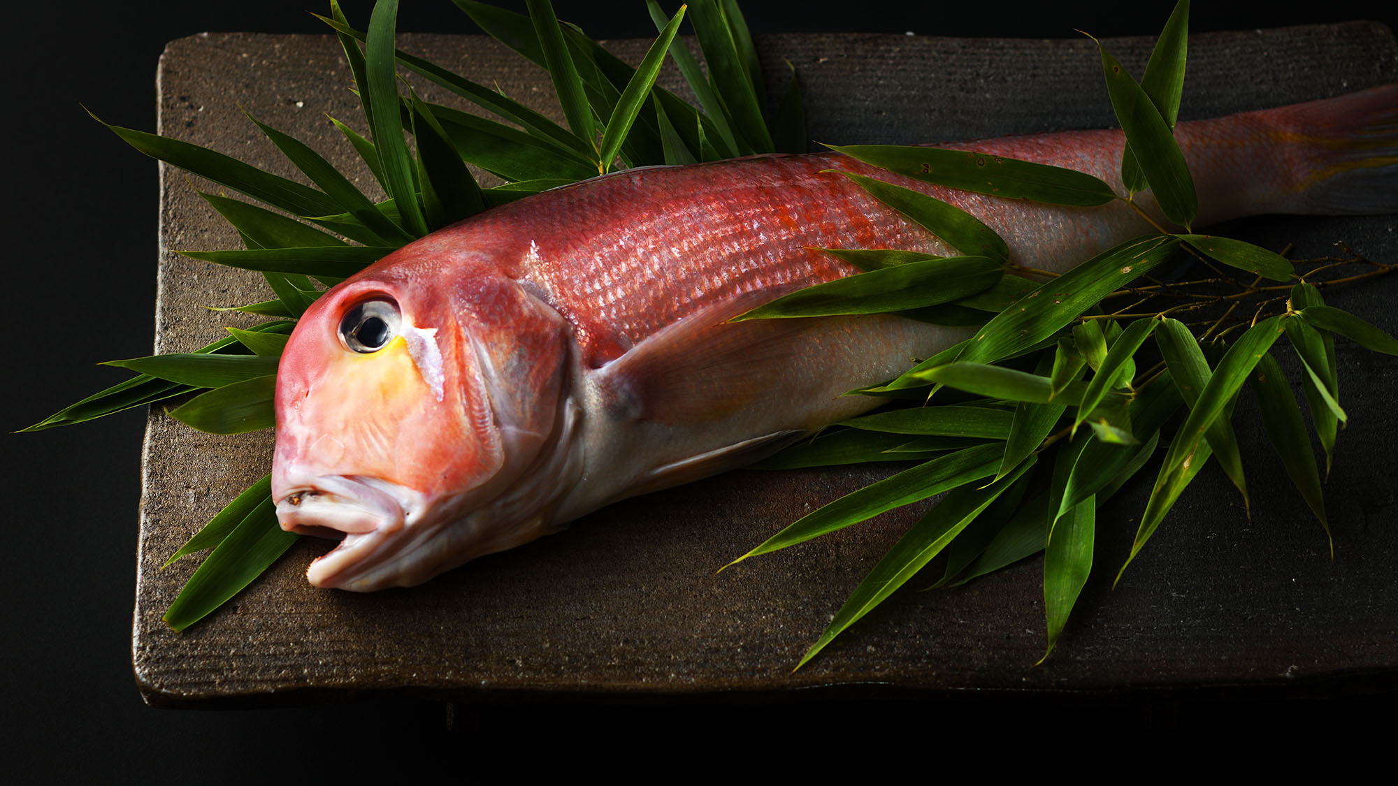 【素材の恵み】旬の新鮮な魚介を厳選――。季節の滋味をご堪能ください。