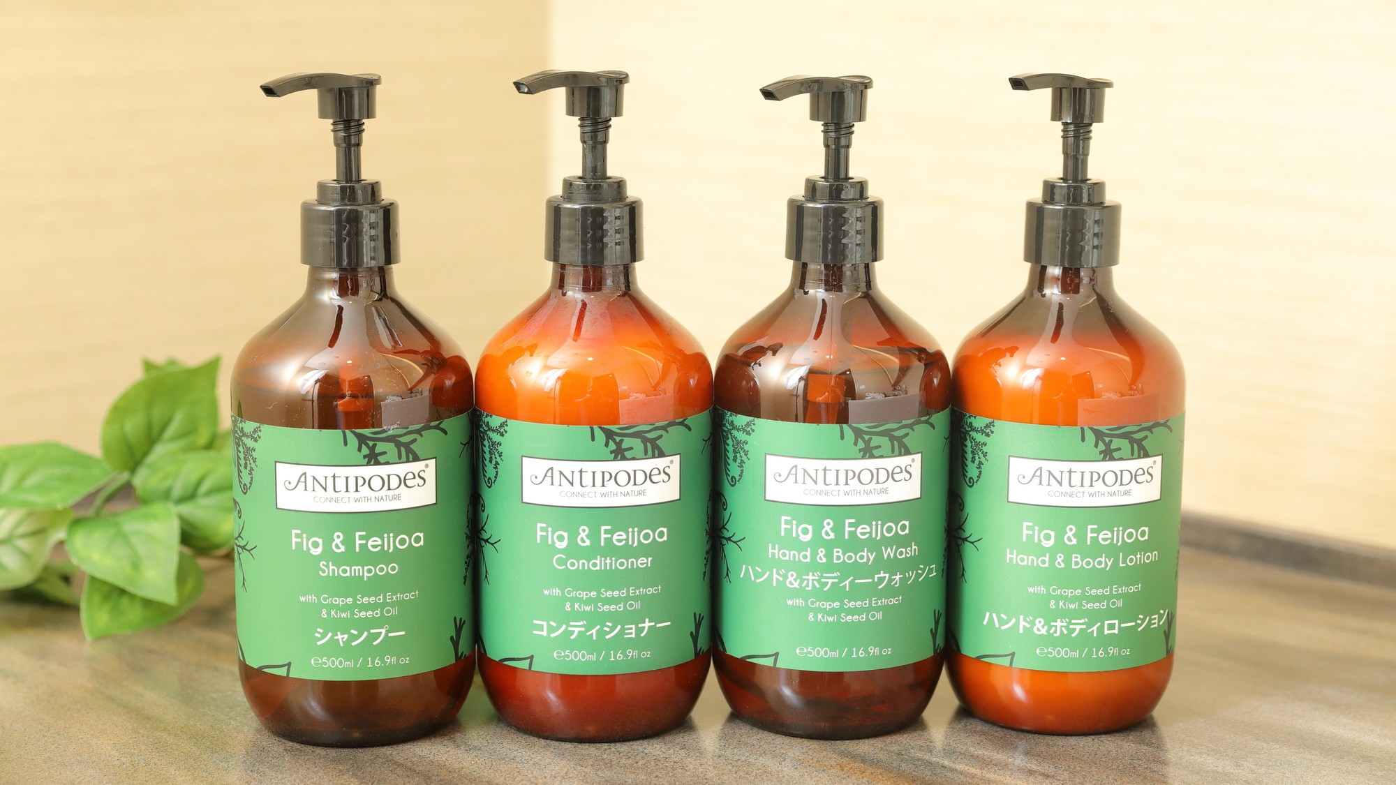 【8月限定セール★30日前までの早期割引プラン！】〜早めがおトクな2週間〜アドバンスセーバー／素泊り