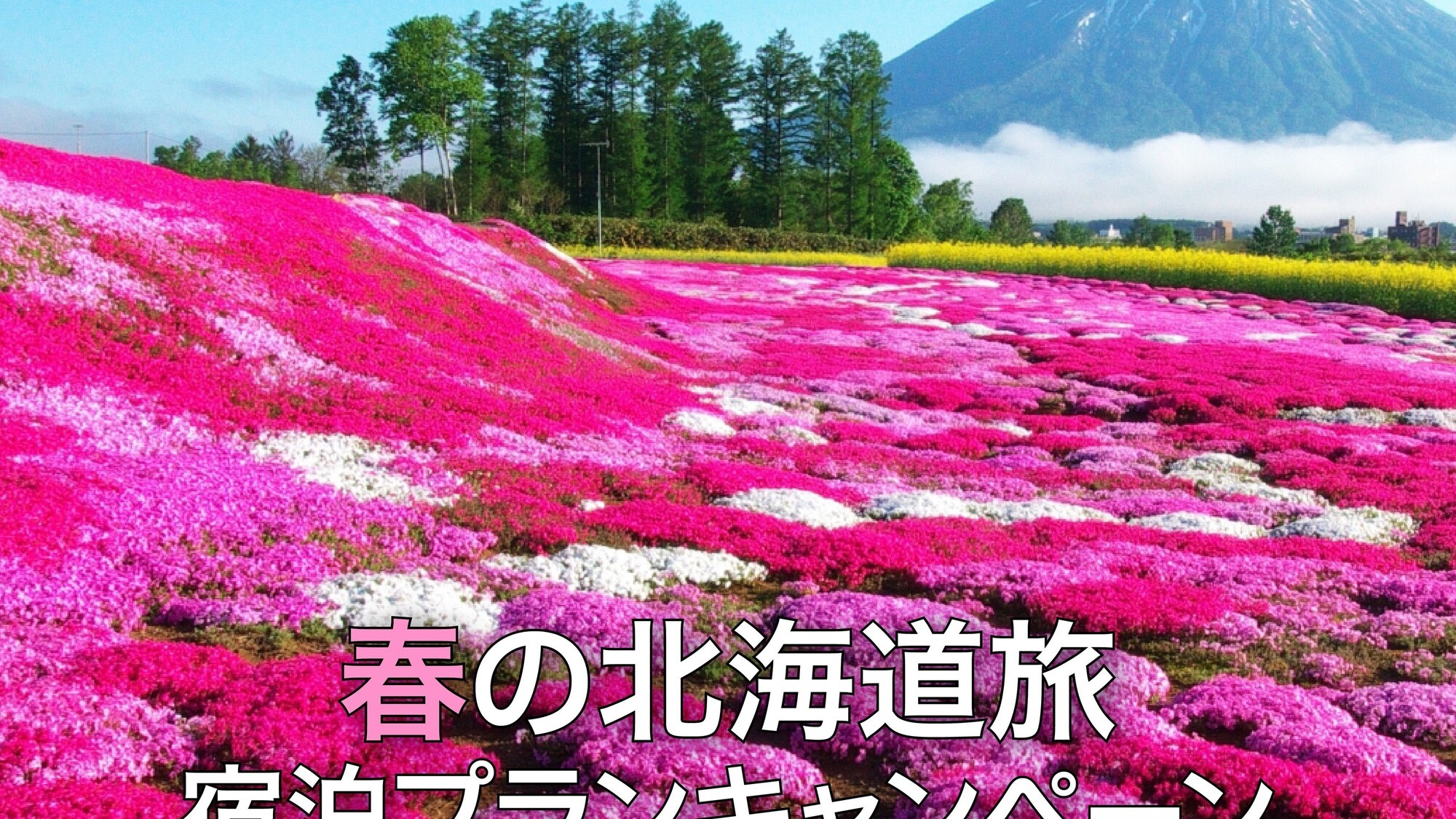 【春の北海道旅 宿泊プランキャンペーン】