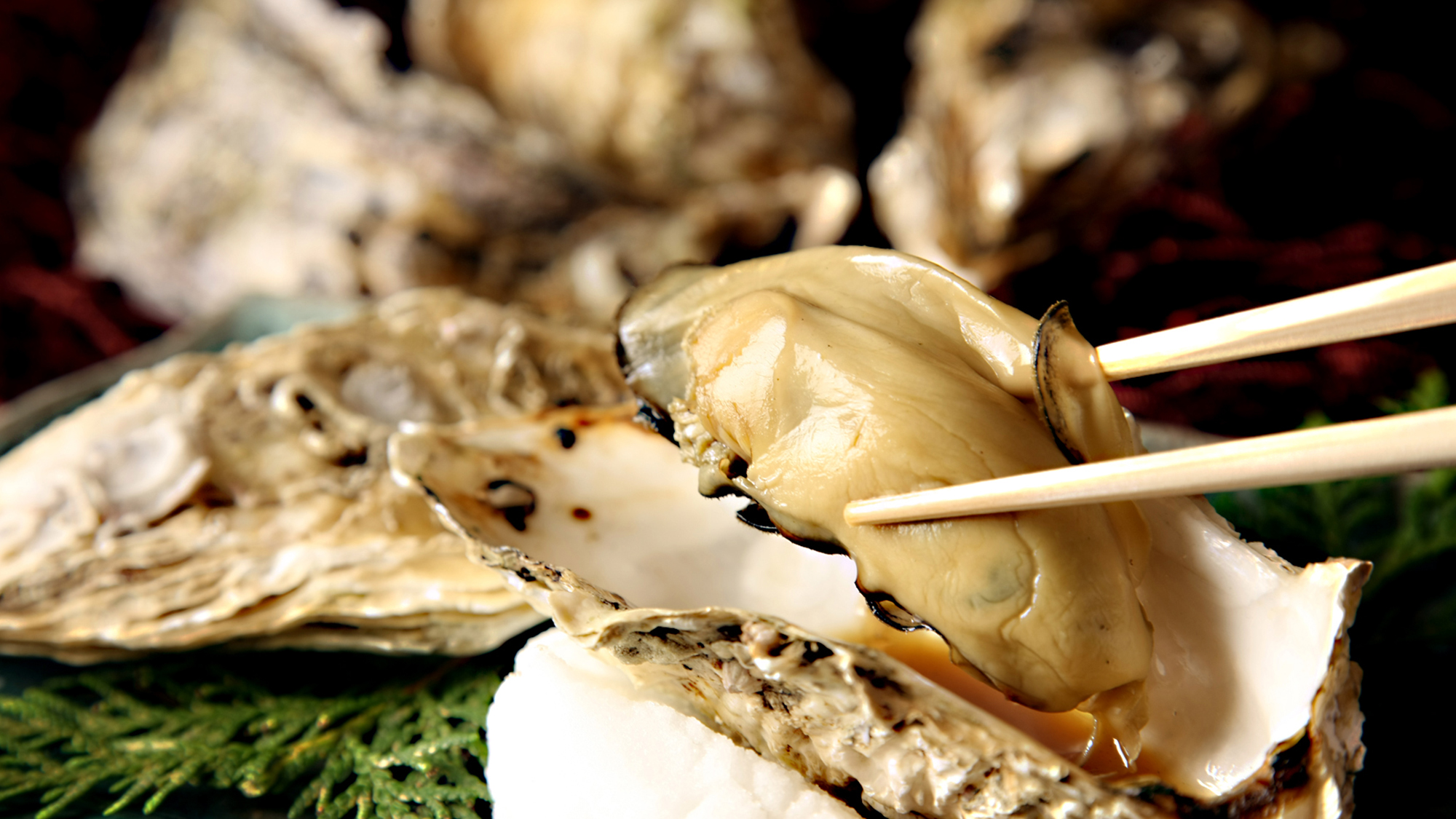 牡蠣は北海道各地で獲れる名物魚介類のひとつ。プリプリの身と旨味を是非ご堪能ください。