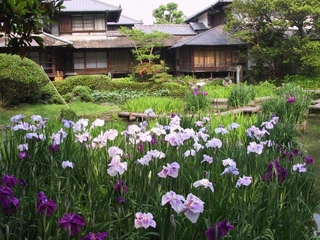 『松浜軒』後藩八代城主の松井直之公が生母のために建てた美しい庭園を備えた御茶屋。