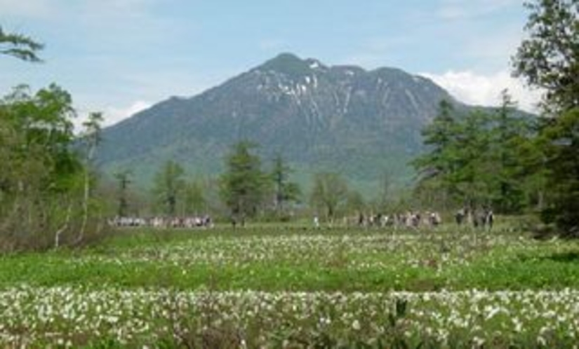 四季折々の尾瀬の景色です。