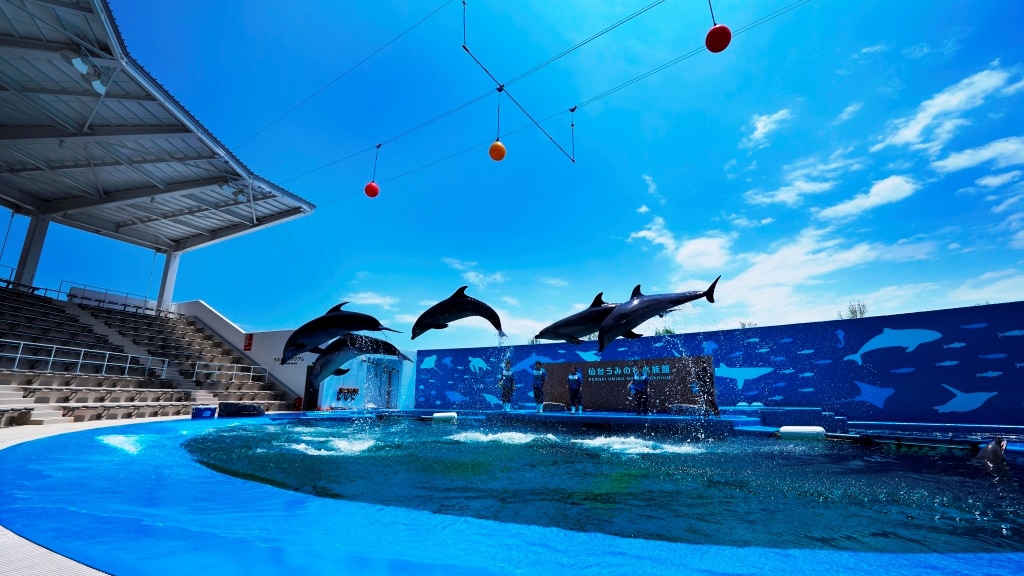 【仙台うみの杜水族館入館引換券付】朝食付