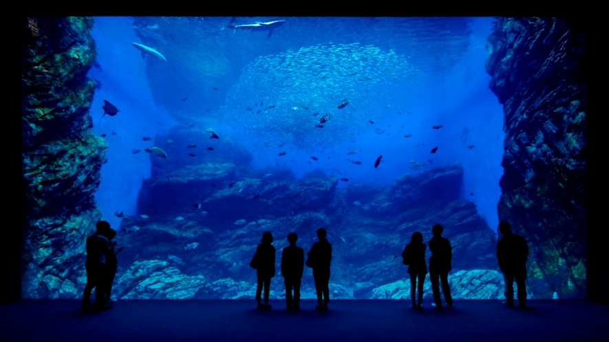 【仙台うみの杜水族館】