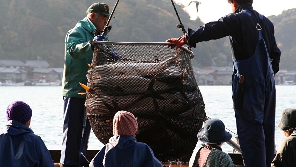 絶品！冬の味覚　伊根ブリに舌鼓！寒ぶりづくし会席　露天風呂付き客室×お部屋食