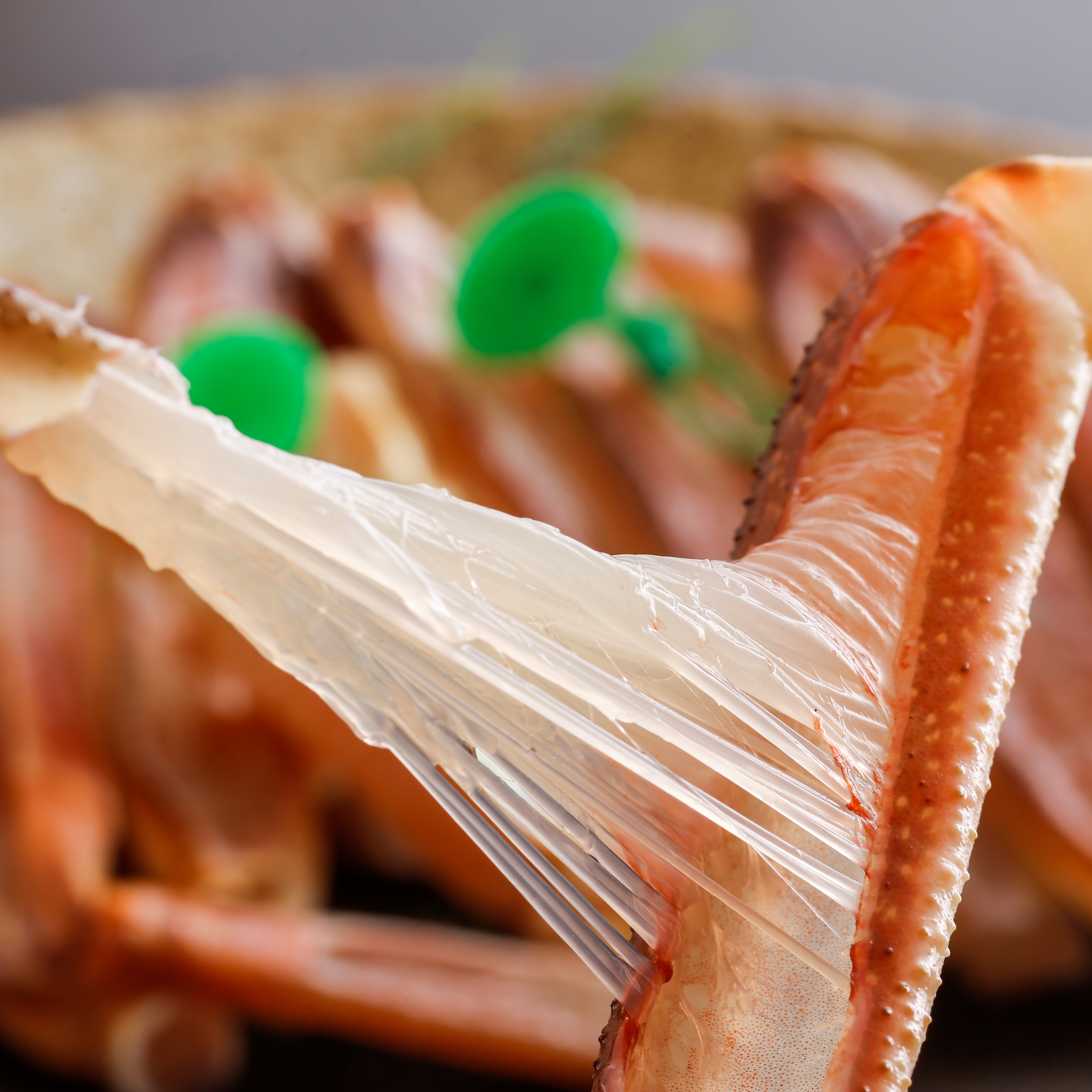 冬の赤い宝石「松葉ガニ」料理長目利きの蟹は甘みが違います