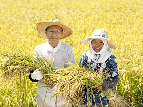 【春の旅トク♪】夕・朝食で人気！「妙高産コシヒカリ2kg」のお土産付きプラン
