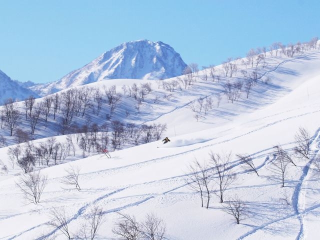 豪雪と極上のパウダースノー「ロッテアライリゾート」スキー場リフト券付き宿泊プラン