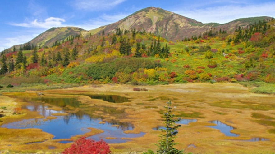 【秋】秋の高谷池。世界の絶景にも選ばれています