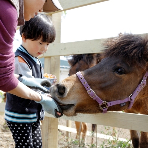 お部屋で温泉！リーズナブルに楽しむ☆素泊まりプラン