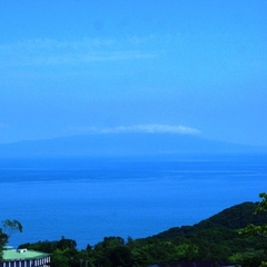 海側客室からの景観（一例）