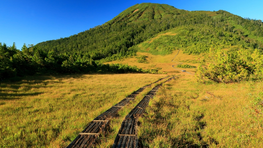 **東北最高峰の燧ヶ岳。草紅葉で金色に輝く湿原をゆったりお散歩してみませんか？