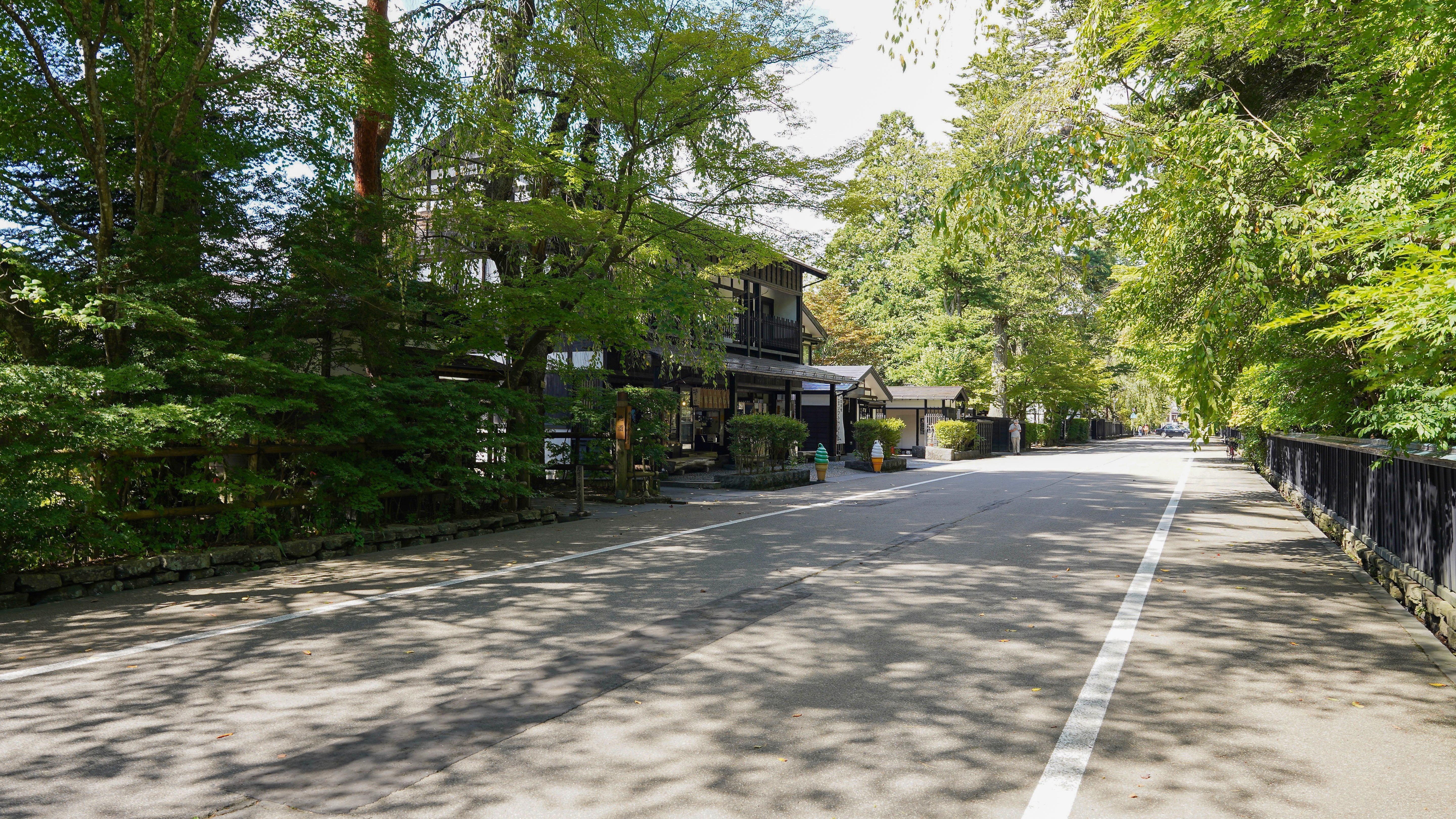 重要伝統的建築物群保存地区の角館武家屋敷。桜が終わると新緑の爽やかさをお楽しみいただけます。
