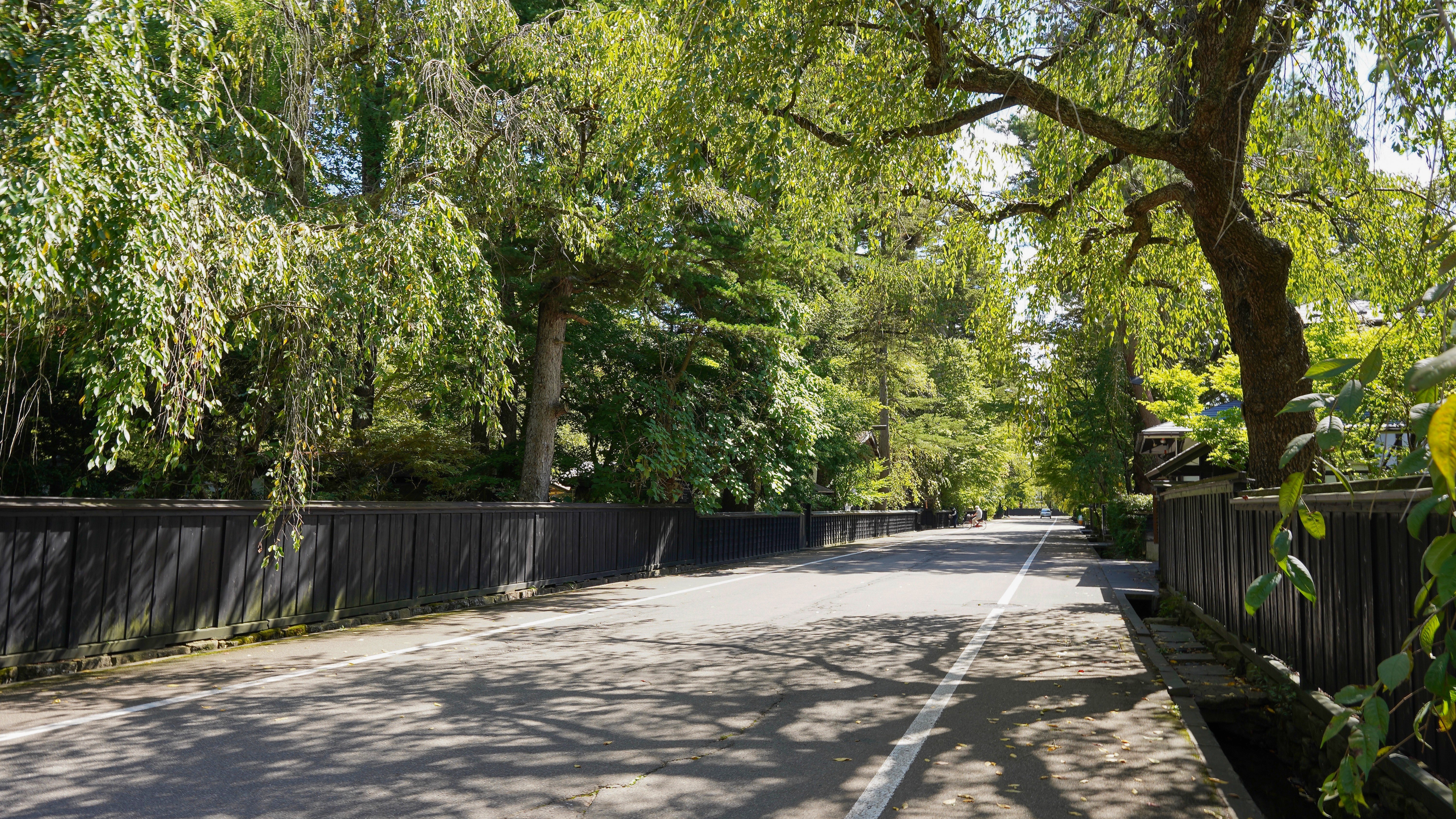 重要伝統的建築物群保存地区の角館武家屋敷。桜が終わると新緑の爽やかさをお楽しみいただけます。