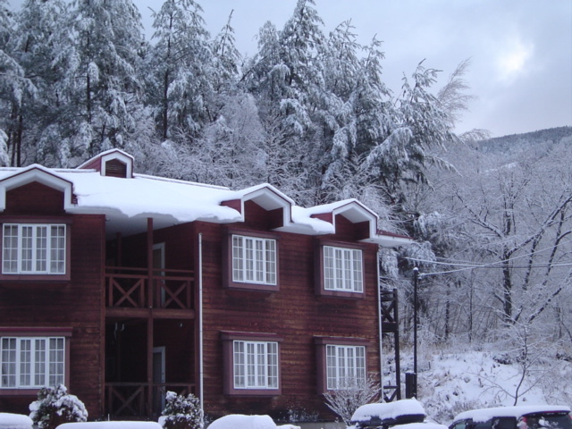 Accommodation (winter)