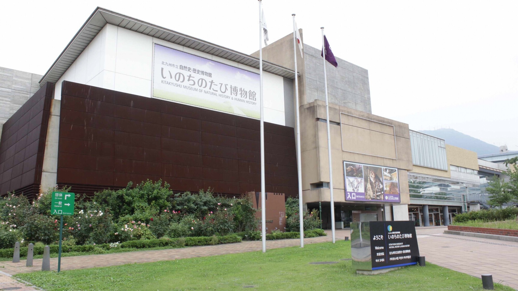 いのちのたび博物館