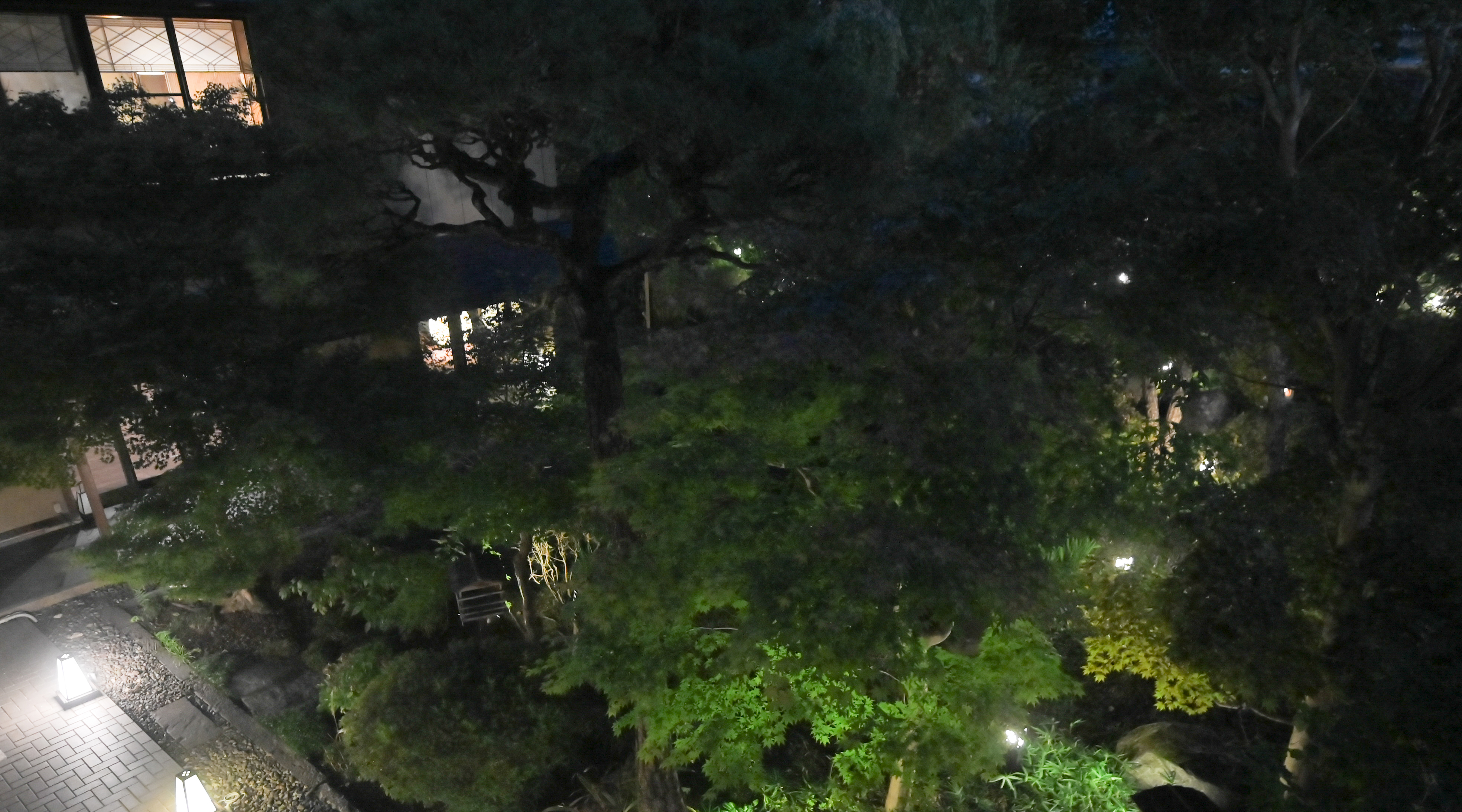 当館の日本庭園。夕刻～夜はライトアップされます