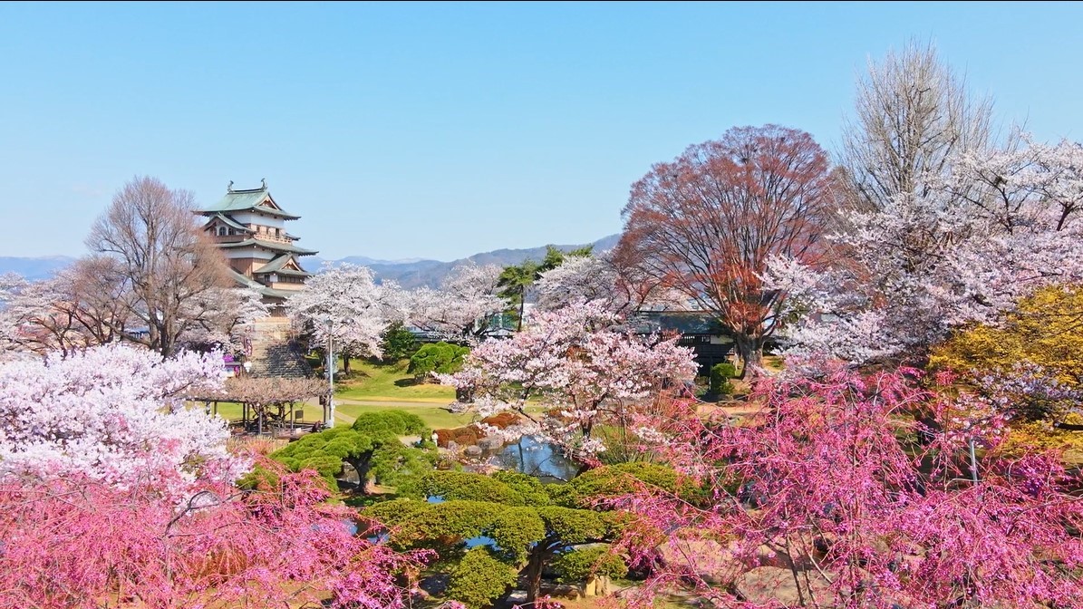 春の高島城＜画像提供 諏訪市＞