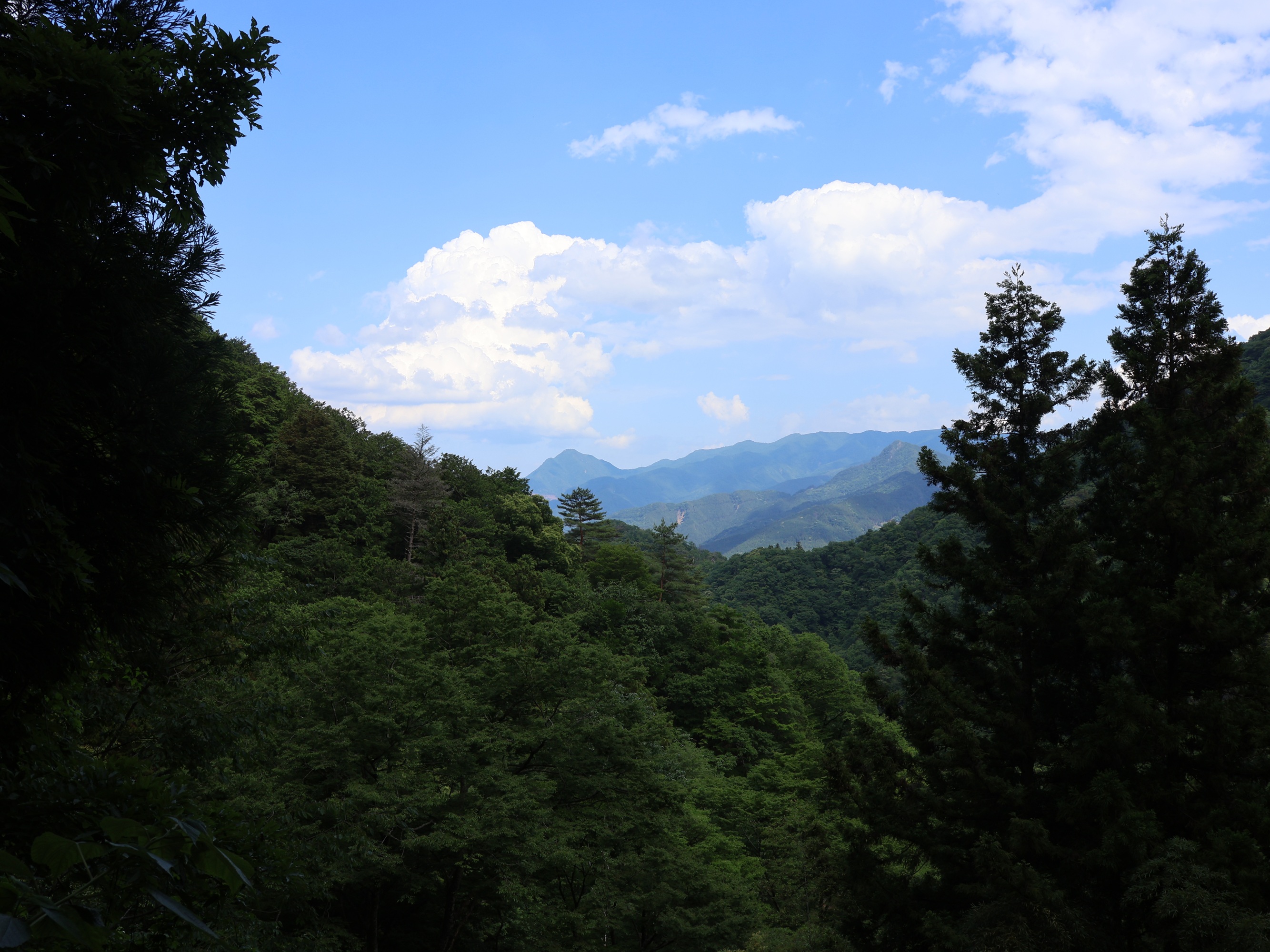 ヒーリングスポット 黒滝山不動寺