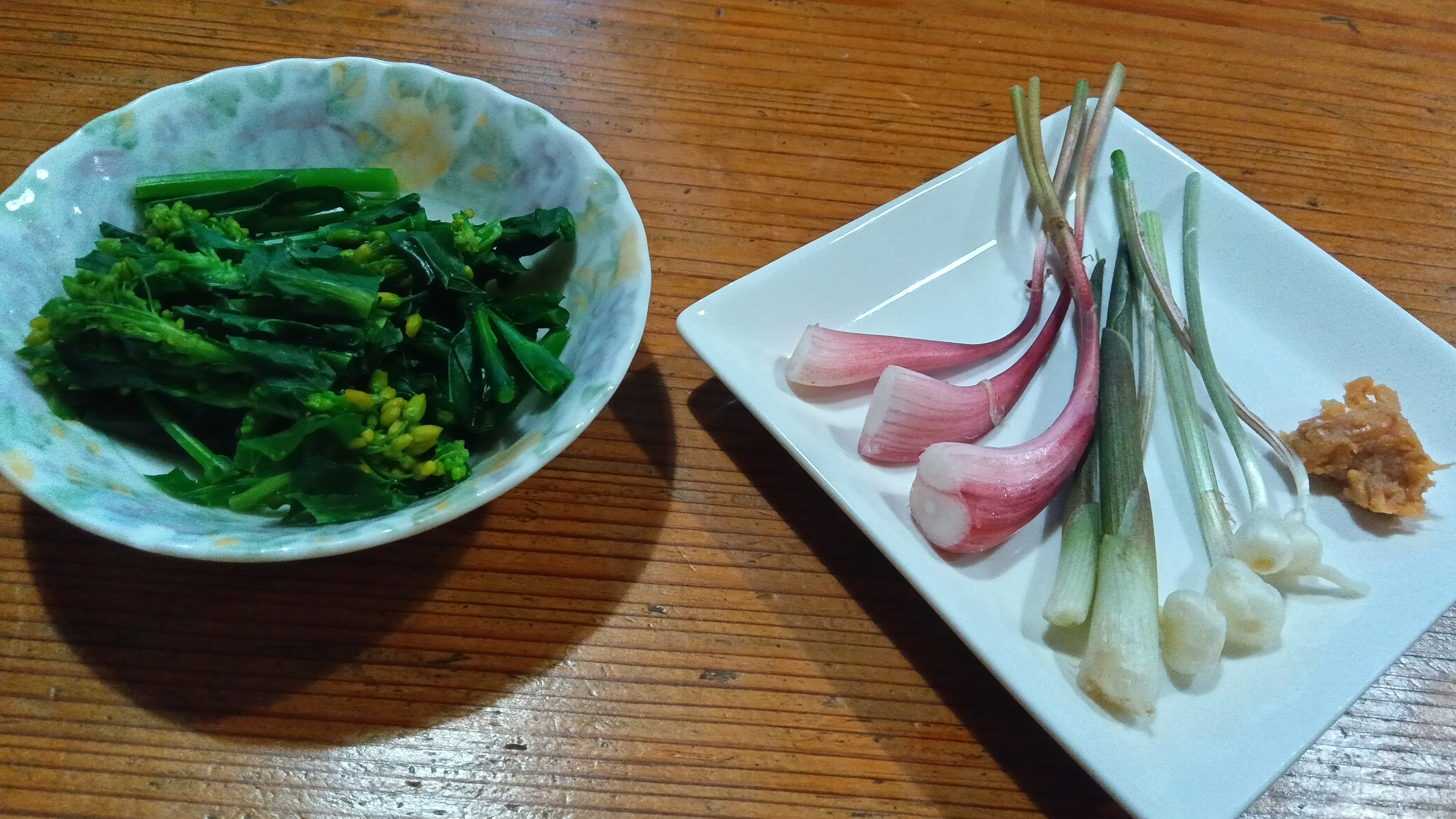 春の山菜