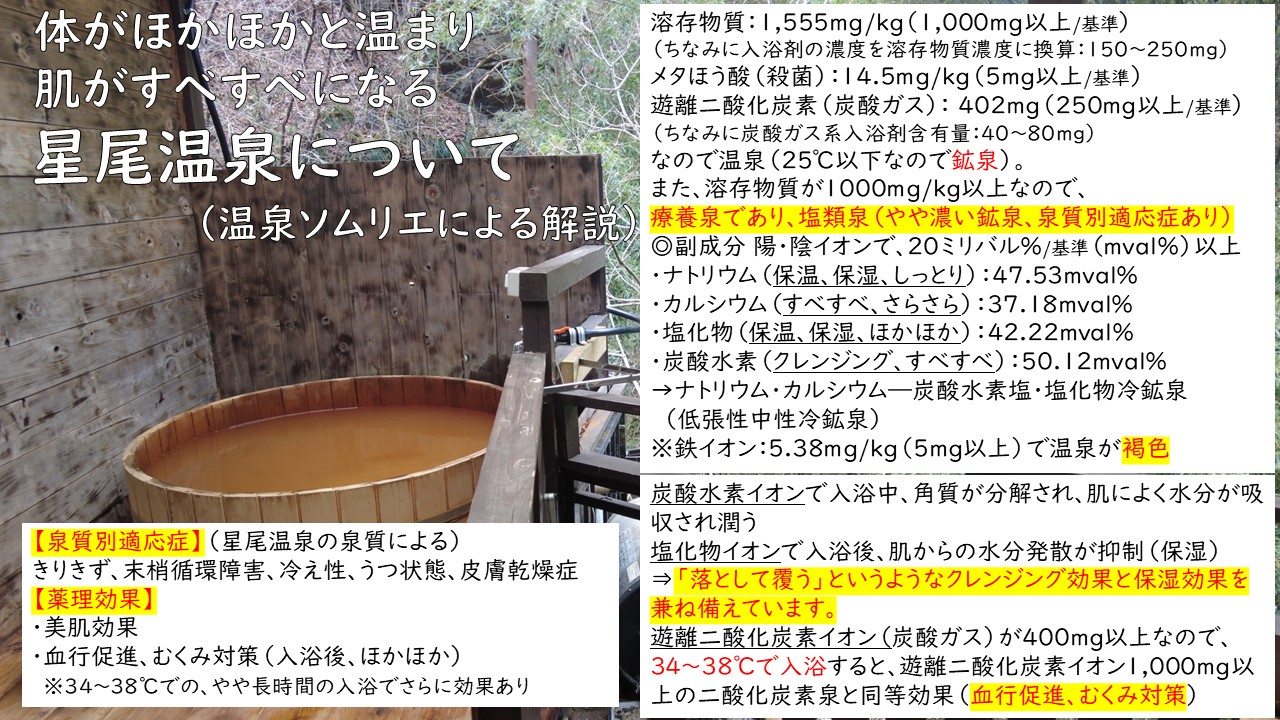温泉ソムリエによる星尾温泉の解説