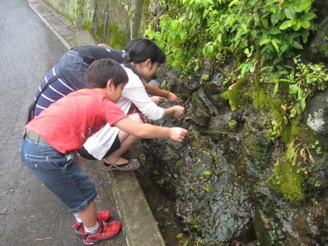 沢ガニ取り体験