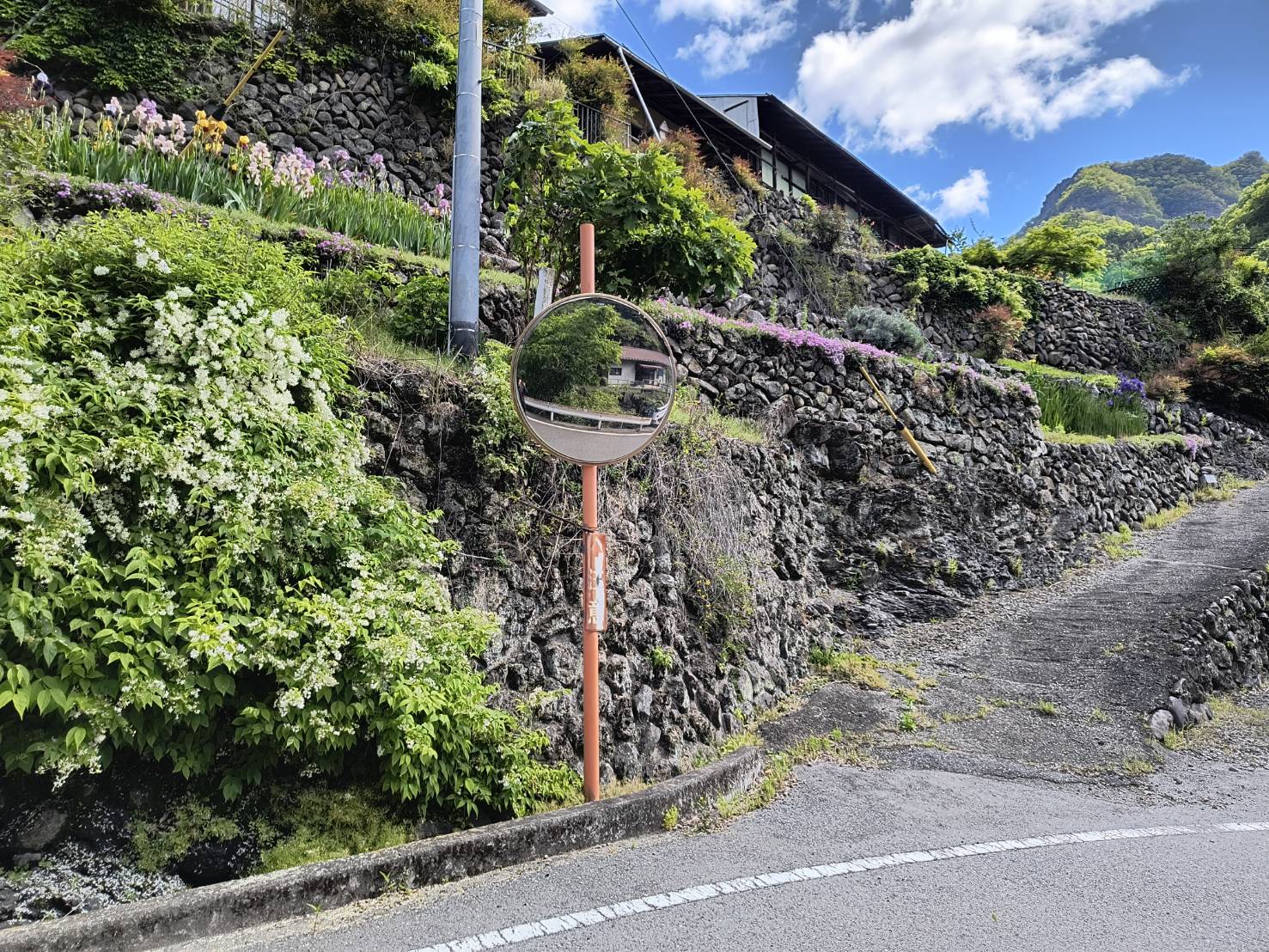 星尾温泉 民宿かじか倶楽部 周辺の石垣