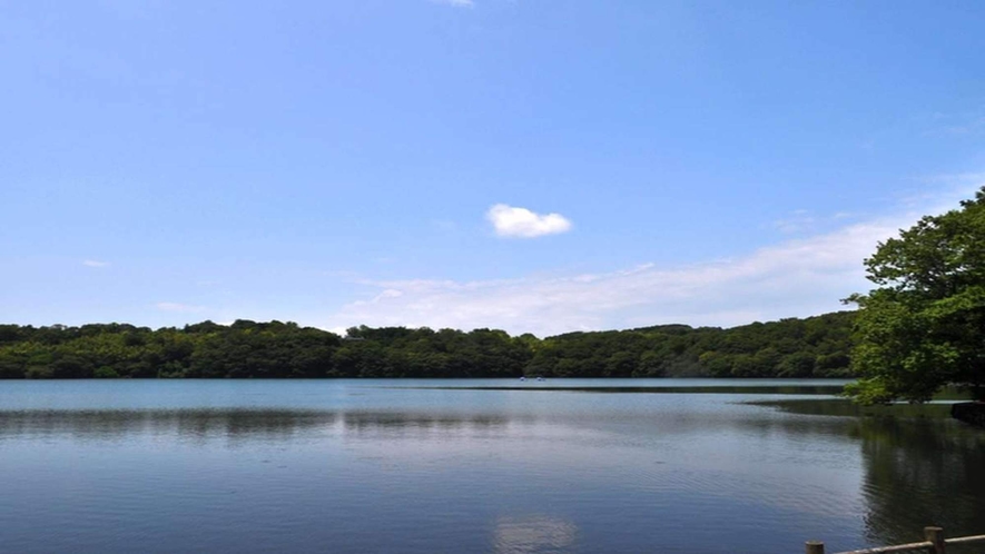当館より徒歩10分ほどにある、伊豆の瞳と呼ばれる一碧湖