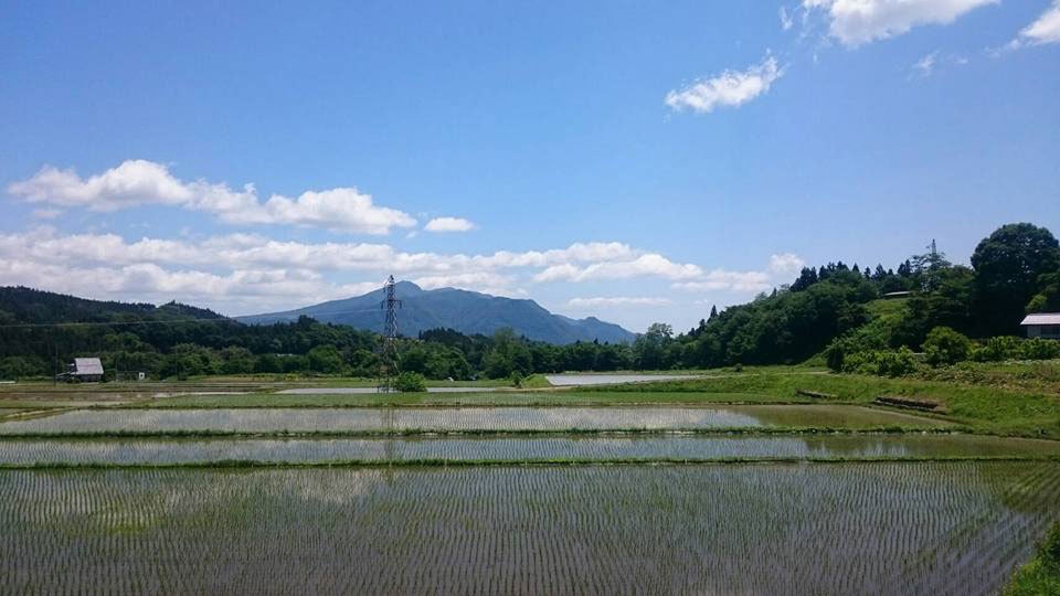 ◆素泊まりプラン◆湯の花、舞う良質なつるつる美肌の湯を24時間堪能。