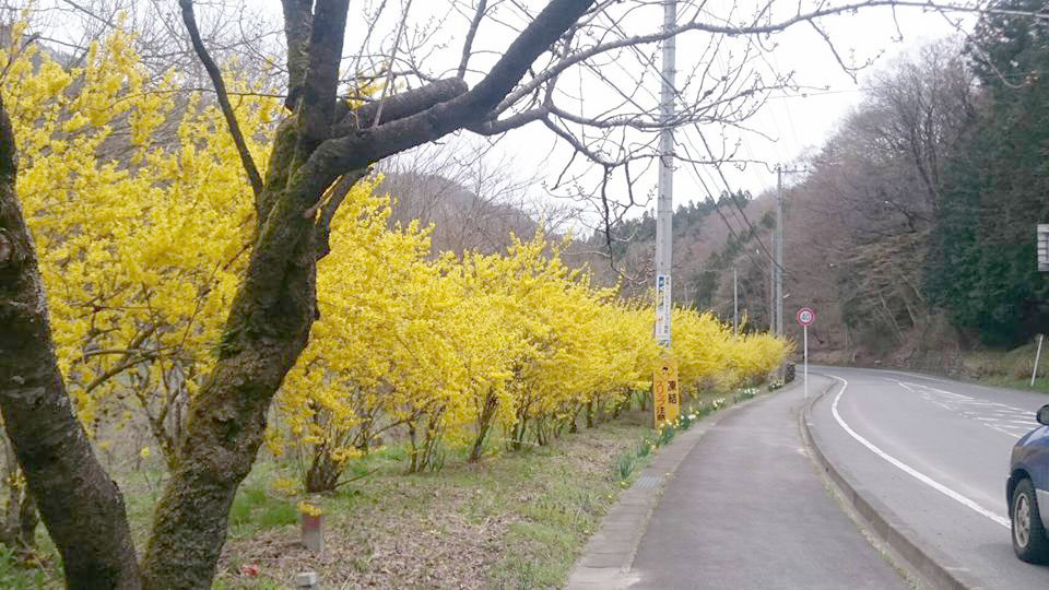 ＊周辺／車で沢渡温泉街をドライブするのも♪