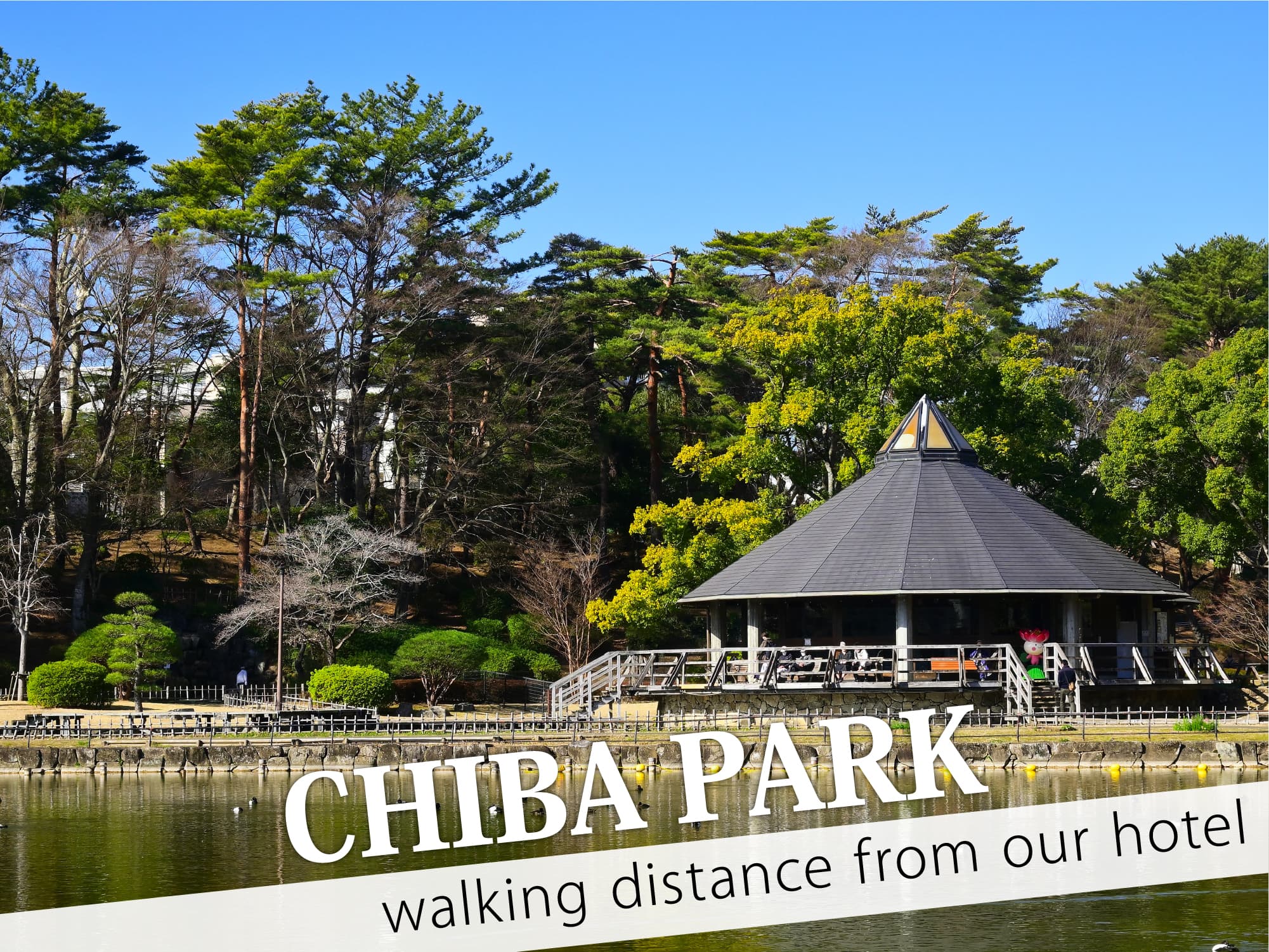 Chiba Park（千葉公園）