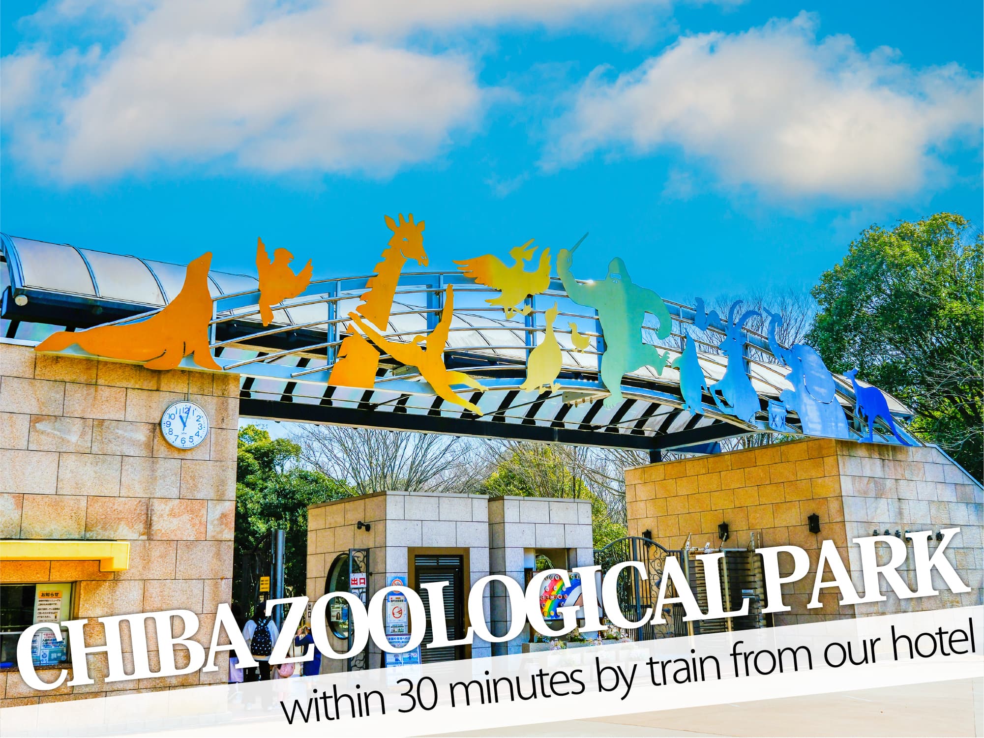 Chiba Zoological Park（千葉市動物公園）