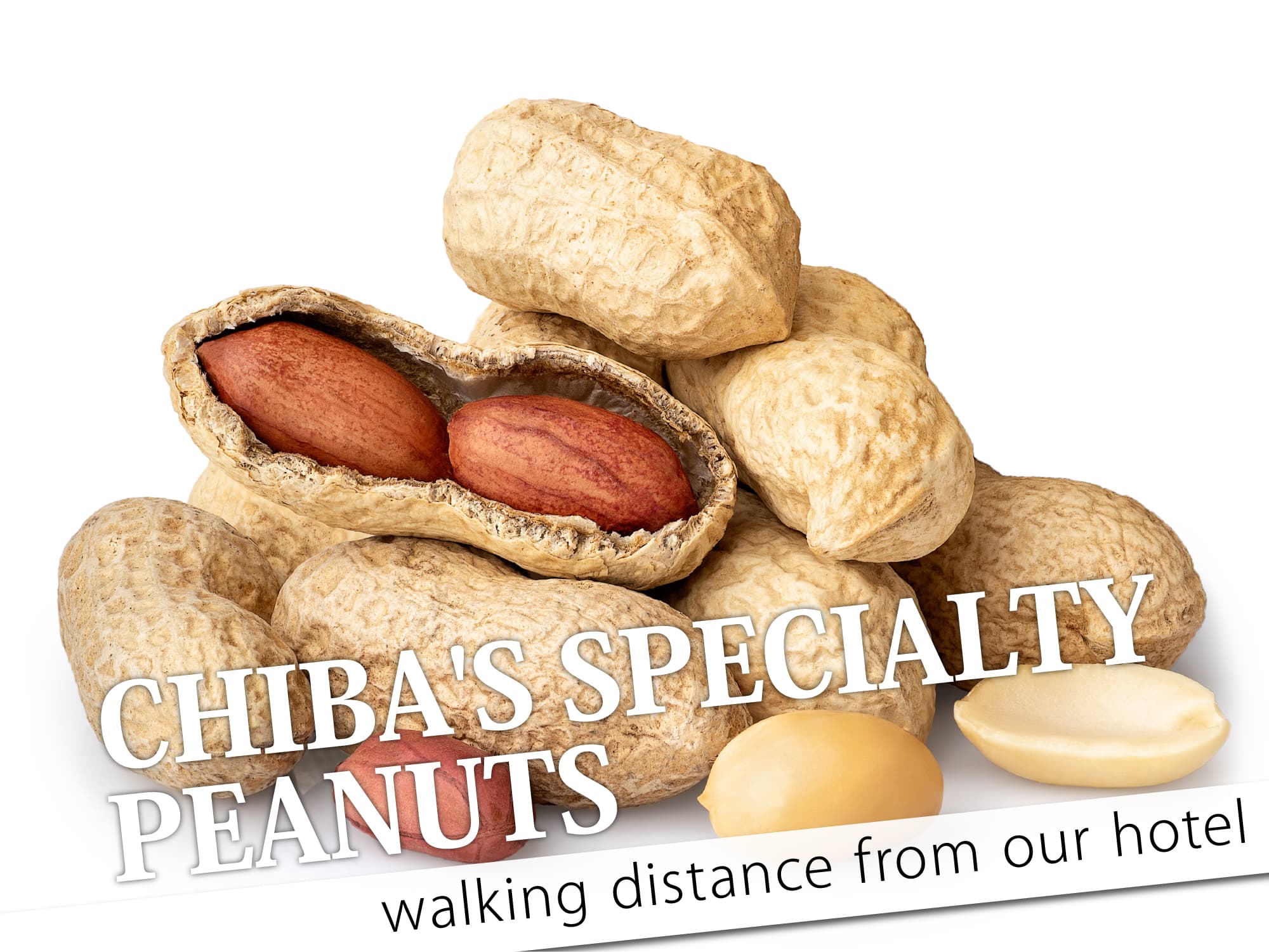 Chiba's Specialty Peanuts （千葉名物落花生）