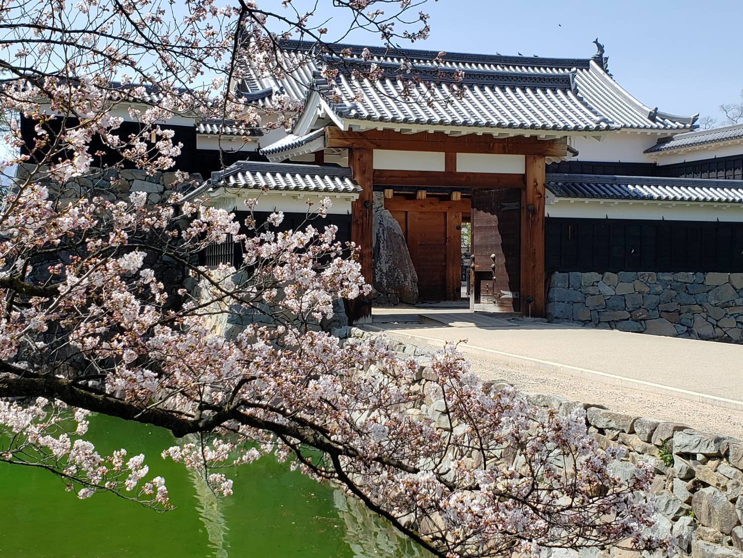 卒業★入学お祝いプラン朝食付